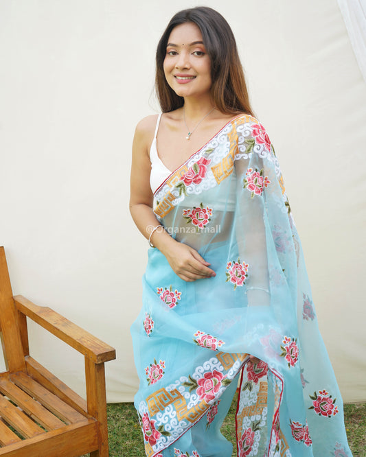 Elegance Redefined: Introducing Our Latest Sky Blue Chikankari Worked Pure Organza Saree
