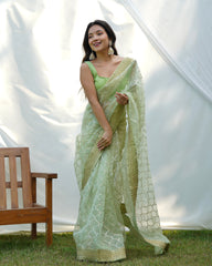 Gazing Light Green Sequence Worked Pure Organza Saree