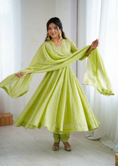 Step into elegance with this light pistachio Anarkali