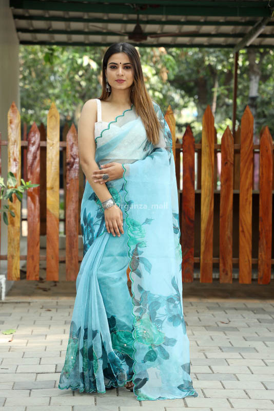 Ocean Blue Dola Silk Saree Manufacturer, Ocean Blue Dola Silk Saree Exporter