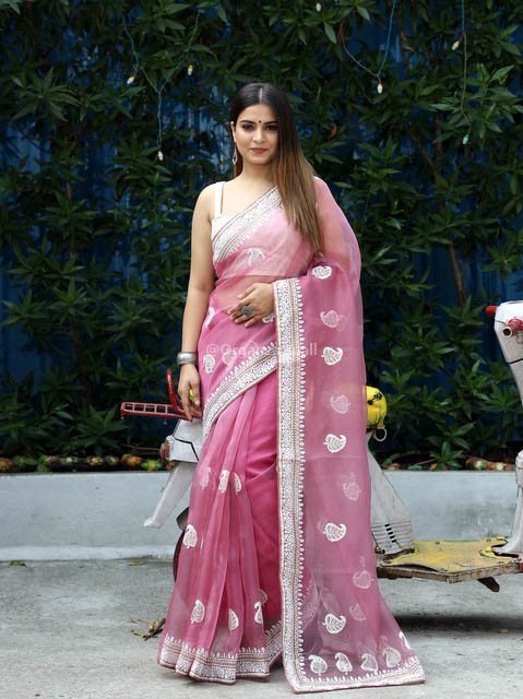 Classic Embroidery Work On Pink Pure Organza Saree