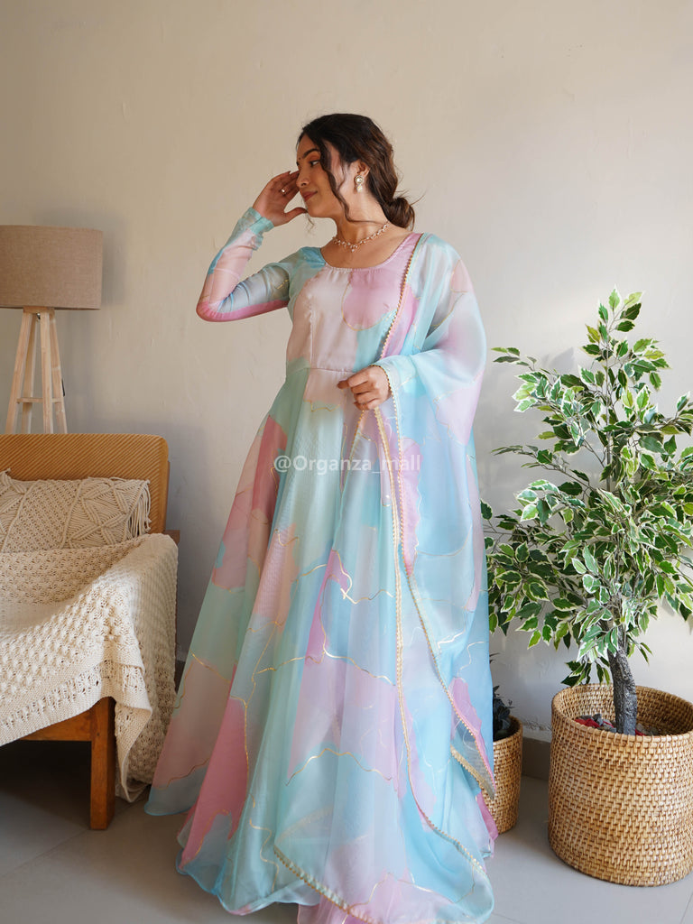 Light Rabba Rainbow Color Pure Organza Printed Anarkali Gown – Organza Mall